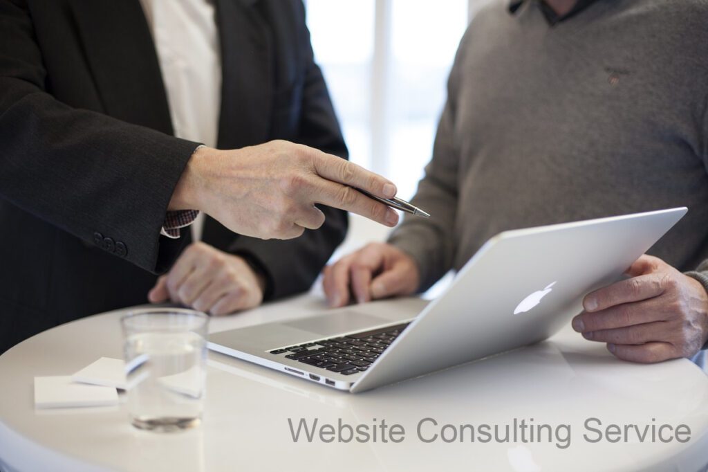 Website Consulting Service